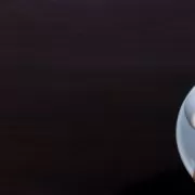 A cup of coffee with biscuits on a table.