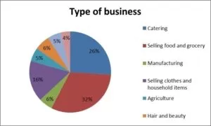 The types of business Just Small Change support in Kisumu, Kenya.