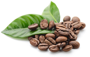 Coffee beans and leaves on a white background, representing organic commitments.