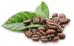 Coffee beans and leaves on a white background, representing organic commitments.