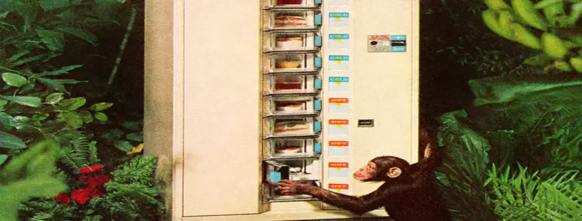 Check out the animals that can use a vending machine!