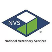 NVS Corporate Logo