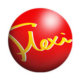 Flexi Narrow Aisle Corporate Logo