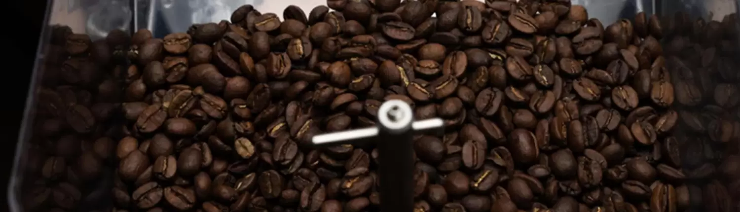 A close up of Gaggia G10 coffee beans in a coffee grinder.