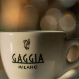 The Gaggia Ruby traditional coffee machine delivers high quality coffee fit for the coffee shop.