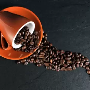 Enjoy high quality coffee from the Gaggia Ruby commercial coffee machine.