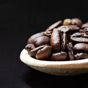 Contact Coinadrink Limited today about the Gaggia MD42 D coffee bean grinder. Contact Coinadrink Limited today about the Gaggia MD42 D coffee bean grinder.