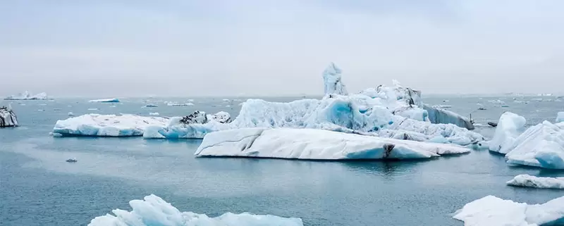 Fairtrade Fortnight 2021 focuses on the effects of climate change.