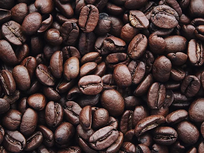 Gaggia G5 coffee grinder features